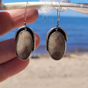 Petoskey Stone Earrings