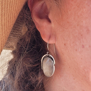 Petoskey Stone Earrings